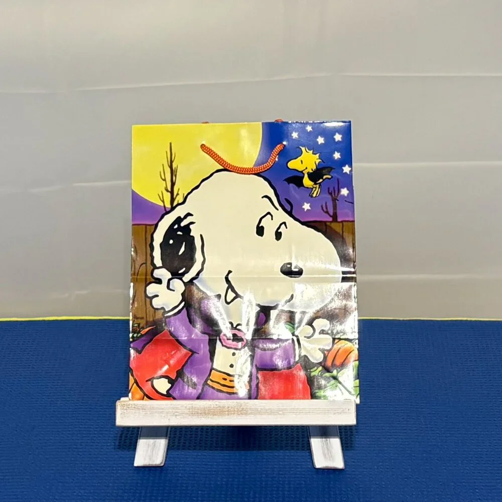 Peanuts Spooky Snoopy Pillow & 40